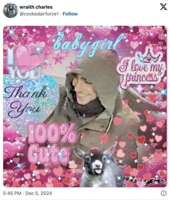 Das Bild einer Überwachungskamera, das den lächelnden Täter zeigt. Dazu viele bunte Herzen, Glitzer und Schriftzüge wie Thank you, 100% cute und babygirl.