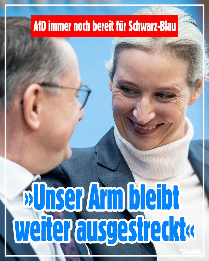 Alice Weidel grinst breit, dazu der Text: »AfD immer noch bereit für Schwarz-Blau: ›Unser Arm bleibt weiter ausgestreckt‹«.