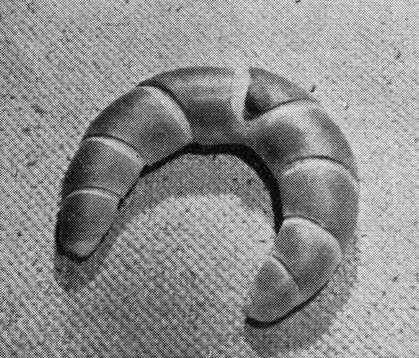 Abb. 1: Das Hörnchen [1]