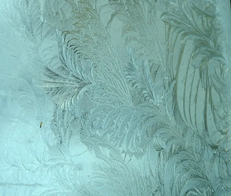 Eisblume