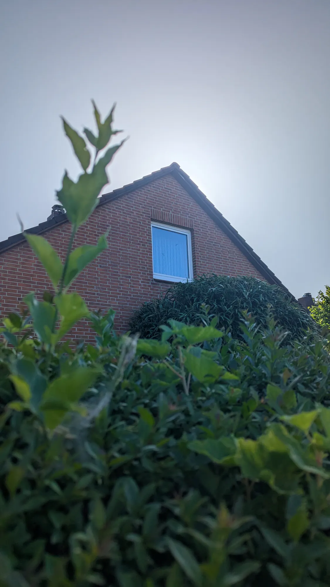Fassade eines Rotklinker-Einfamilienhaus mit Spitzdach hinter einer Hecke; die Sonne ist hinter dem Dachfirst untergegangen und blendet.