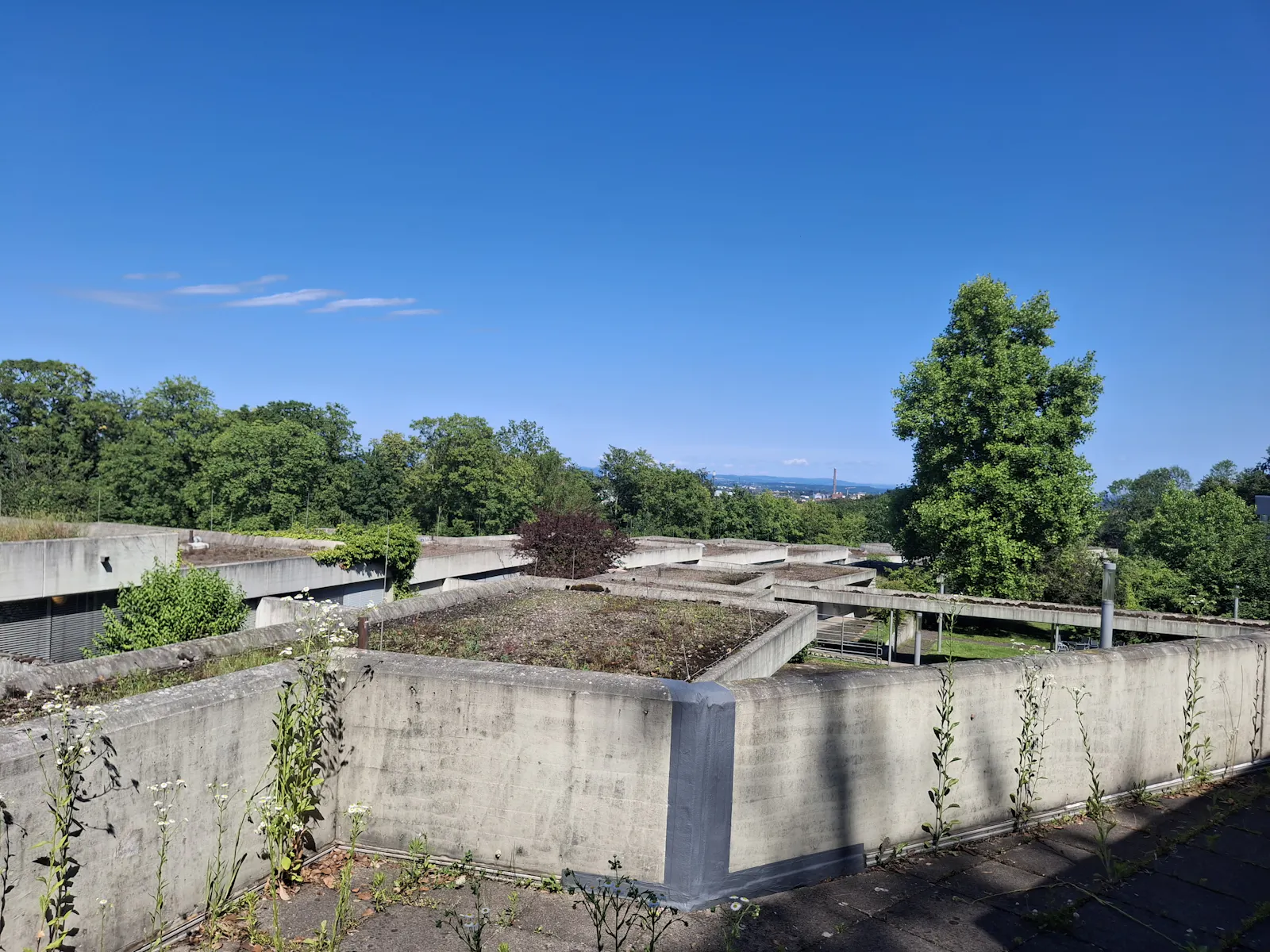 Aussicht in Bielefeld. Im Hintergrund klein die Stadt. Im Vordergrund Dächer der Universität und viele Bäume.
