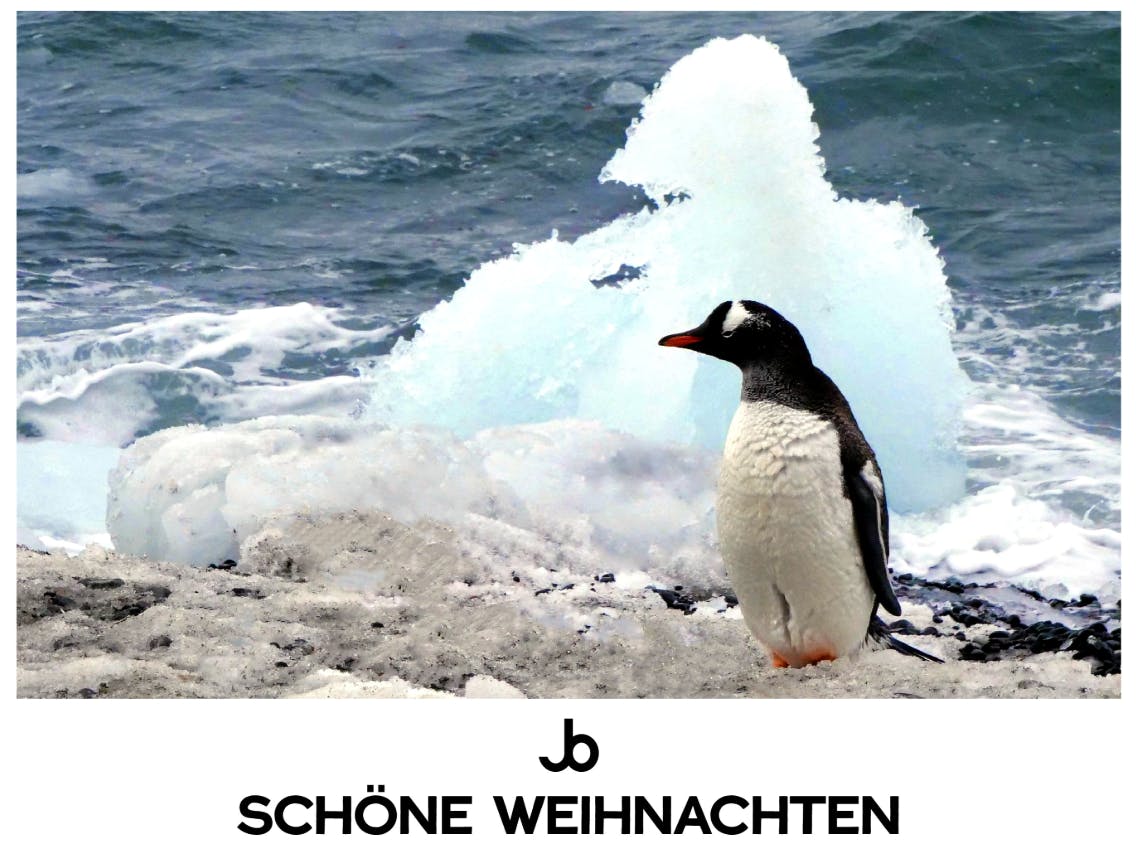 Schöne Weihnachten! Foto: Jürgen Brand