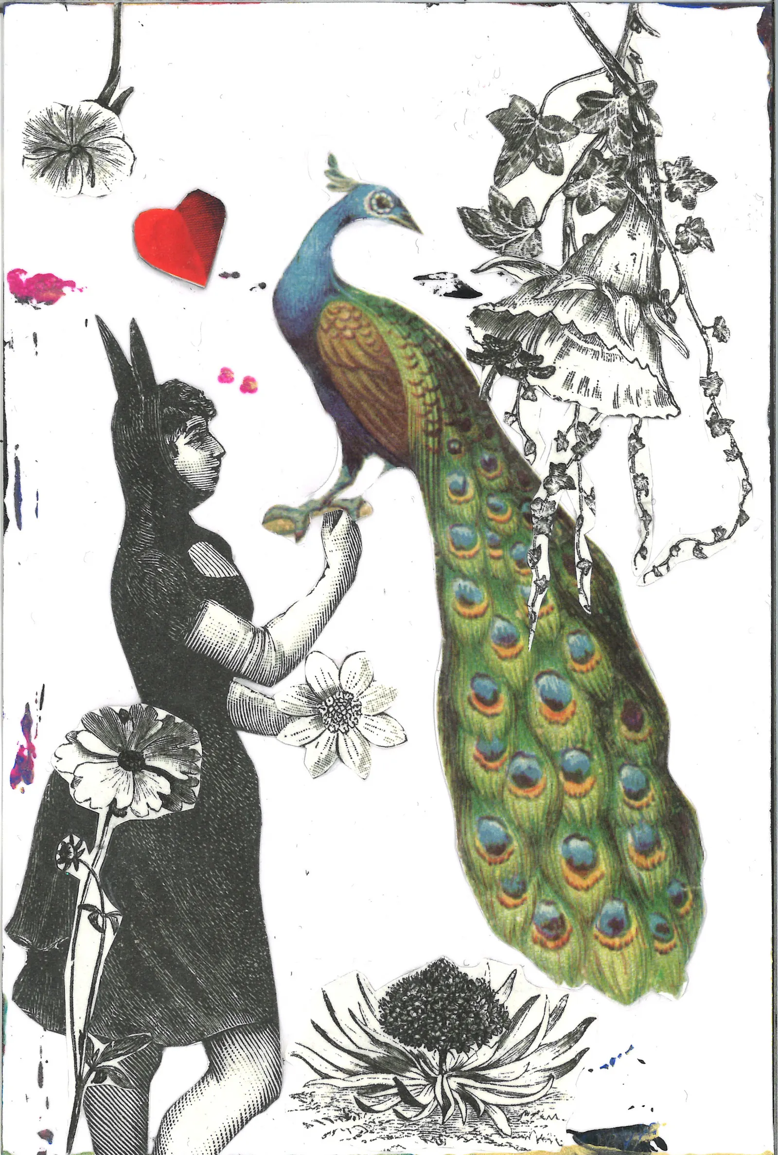 Collage. Weißer Grund mit schwarz-weißer Frau. Sie ist von der Seite zu sehen und hält auf dem Arm einen farbenprächtigen Pfau. Er blickt zur Seite. Zwischen beiden schwebt ein rotes Herz. Rundherum sind große, übergroße Blumen.