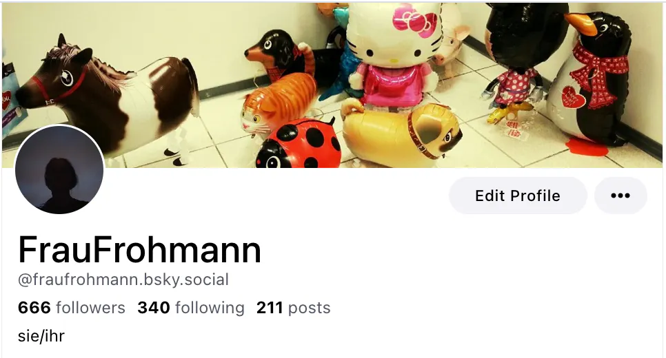 Screenshot, der die Zahl 666 Follows auf Bluesky anzeigt