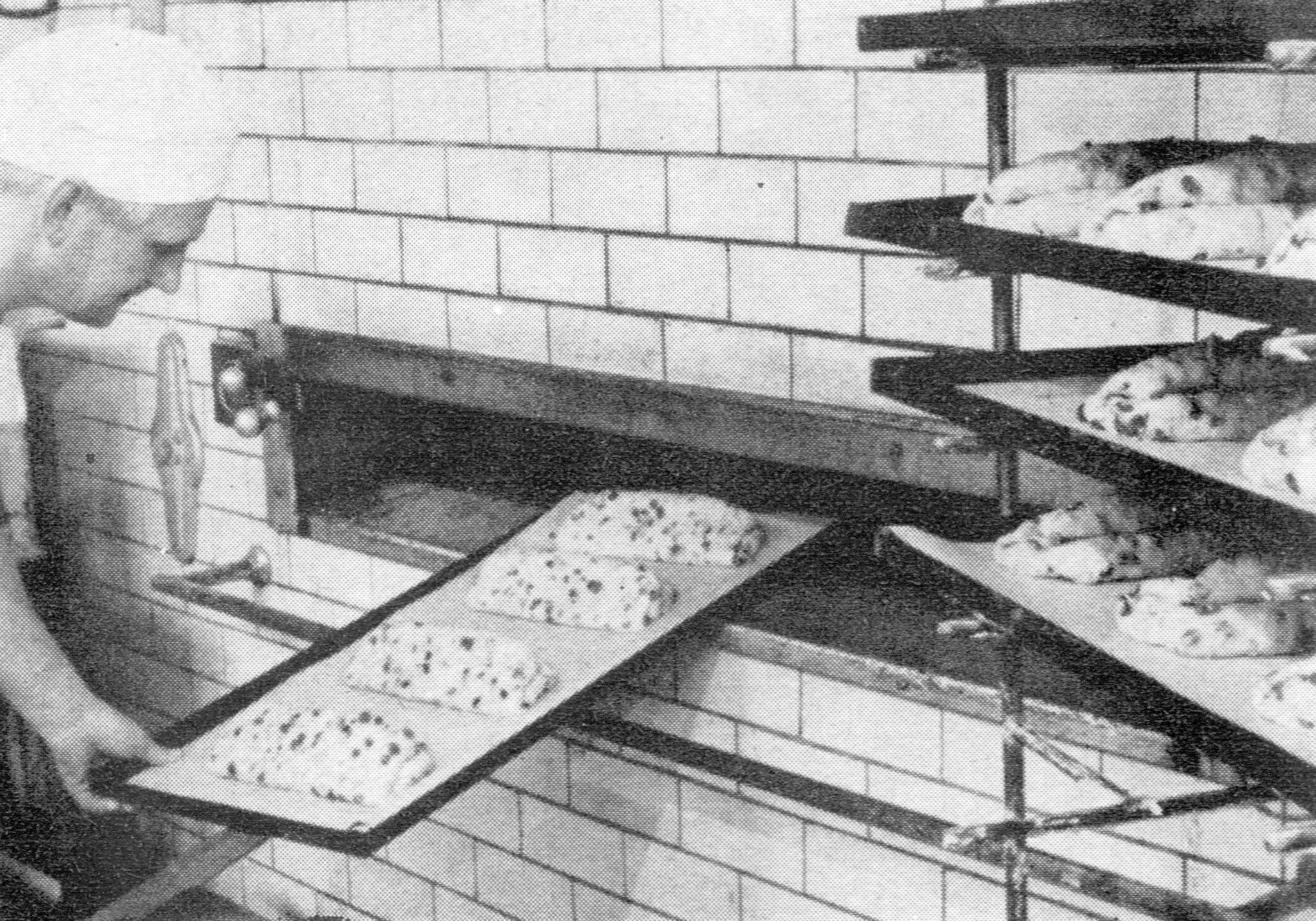 Stollenbäcker im Jahre 1968 mit noch traditionell gedrückten Stollen [9].