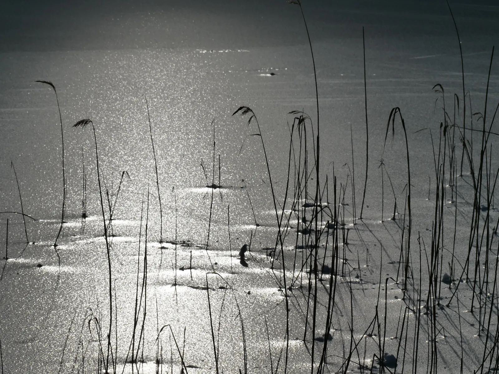 Weil in diesen Tagen so manche Wasserfläche zugefroren ist: Die Sonne zeichnet kunstvolle Motive auf das Eis. Foto: Jürgen Brand