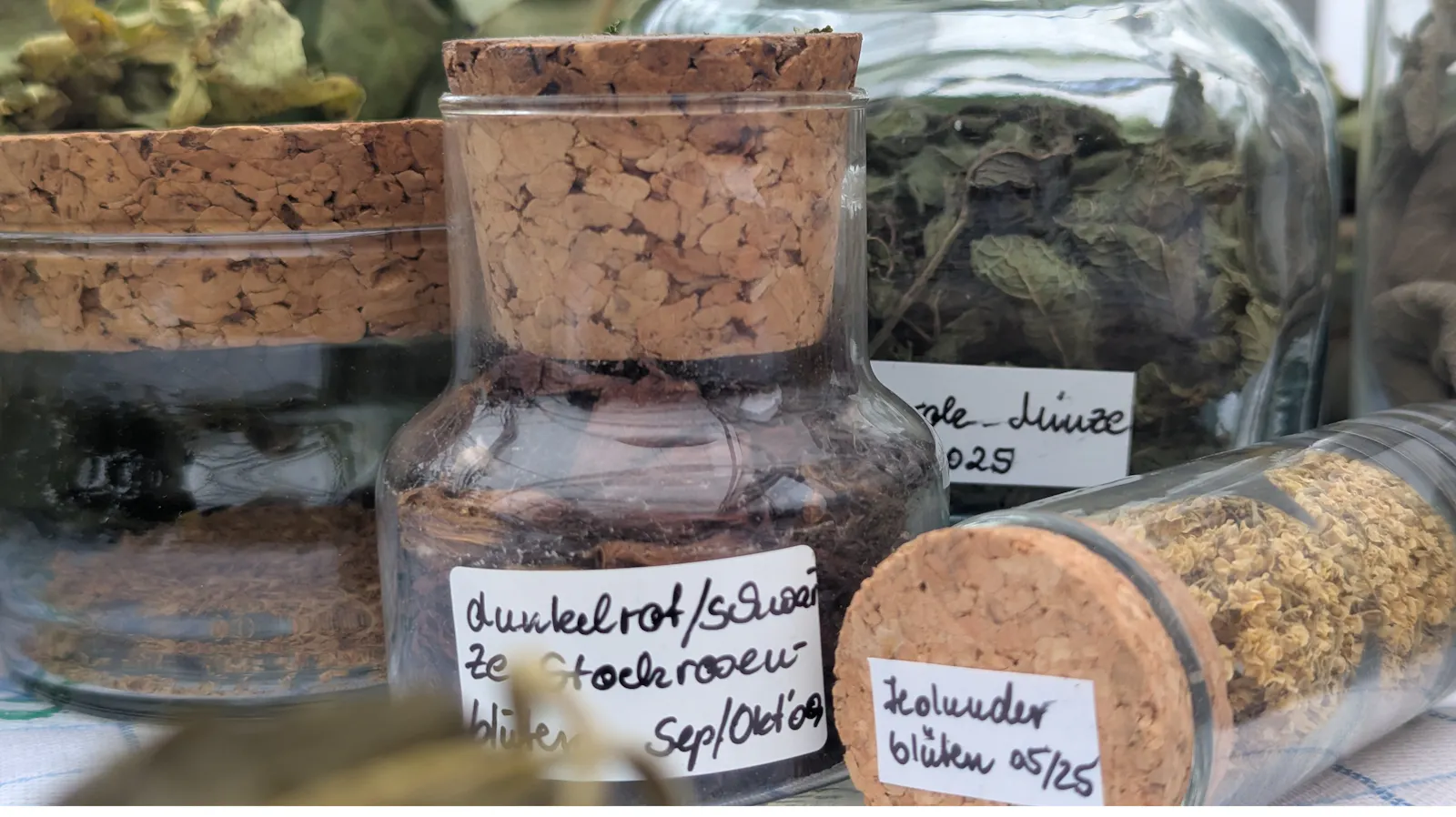 Gläser mit großen Korken, in denen verschiedene getrocknete Blätter und Blüten befinden.