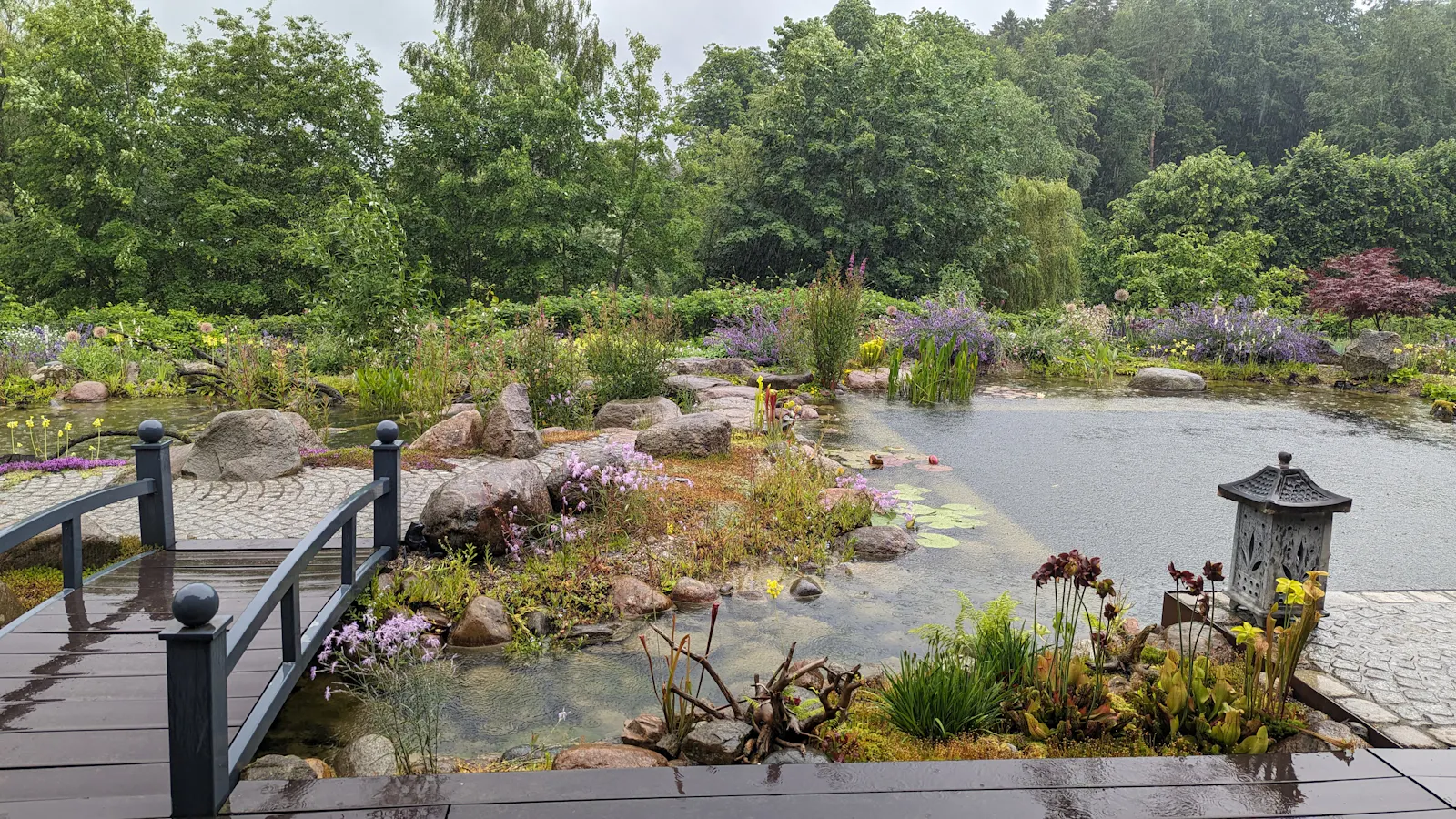 Ein kleiner Ausschnitt der Wasserlandschaft von Reiner und Irene Nagel. Der Garten wurde in das Buch - Die 50 schönsten Gärten Deutschlands -aufgenommen.