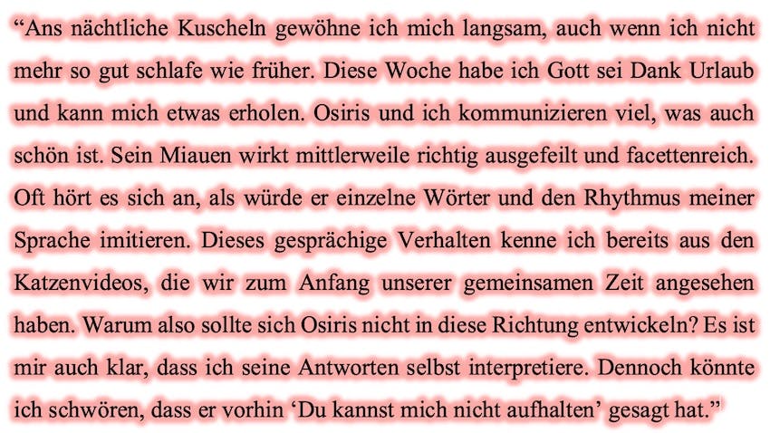 Auszug aus dem Buch CatCheapET von Christine Piontek, story.one Publishing 2024, S. 59