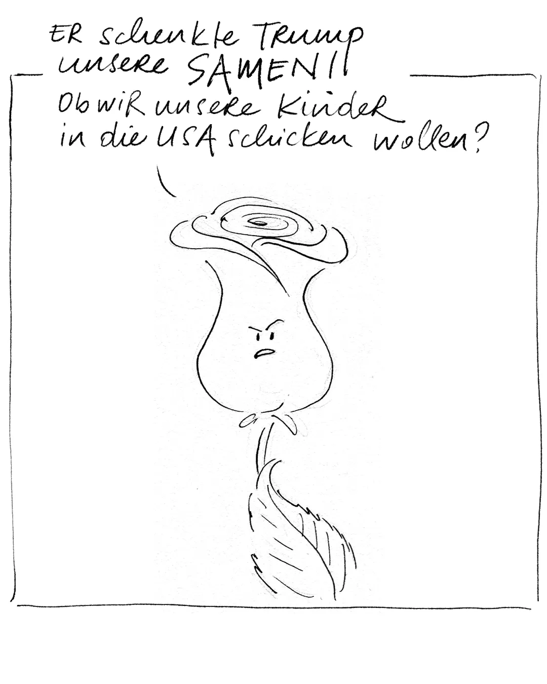 Eine sprechende Rose
