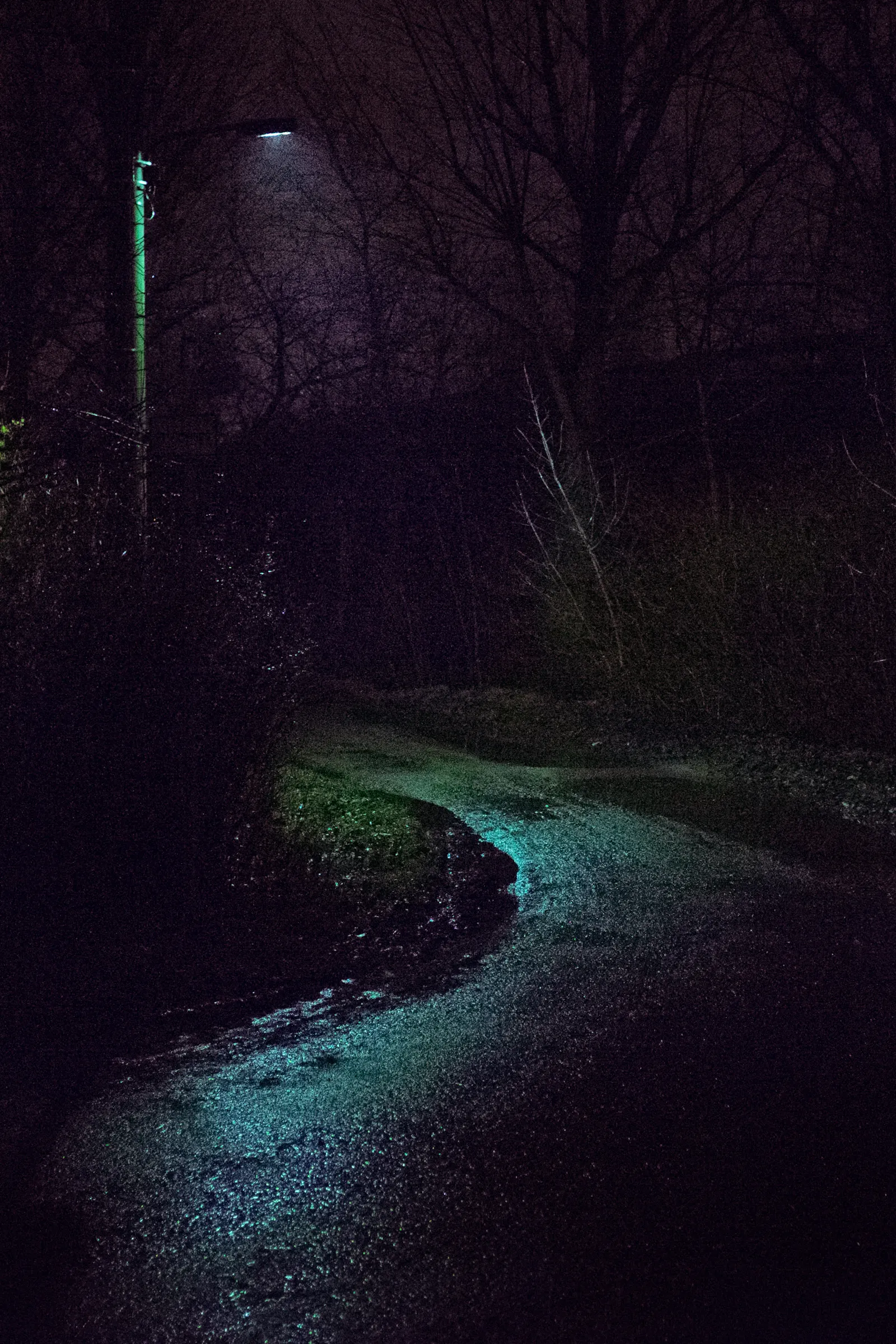Eine verregnete Gasse im Wald