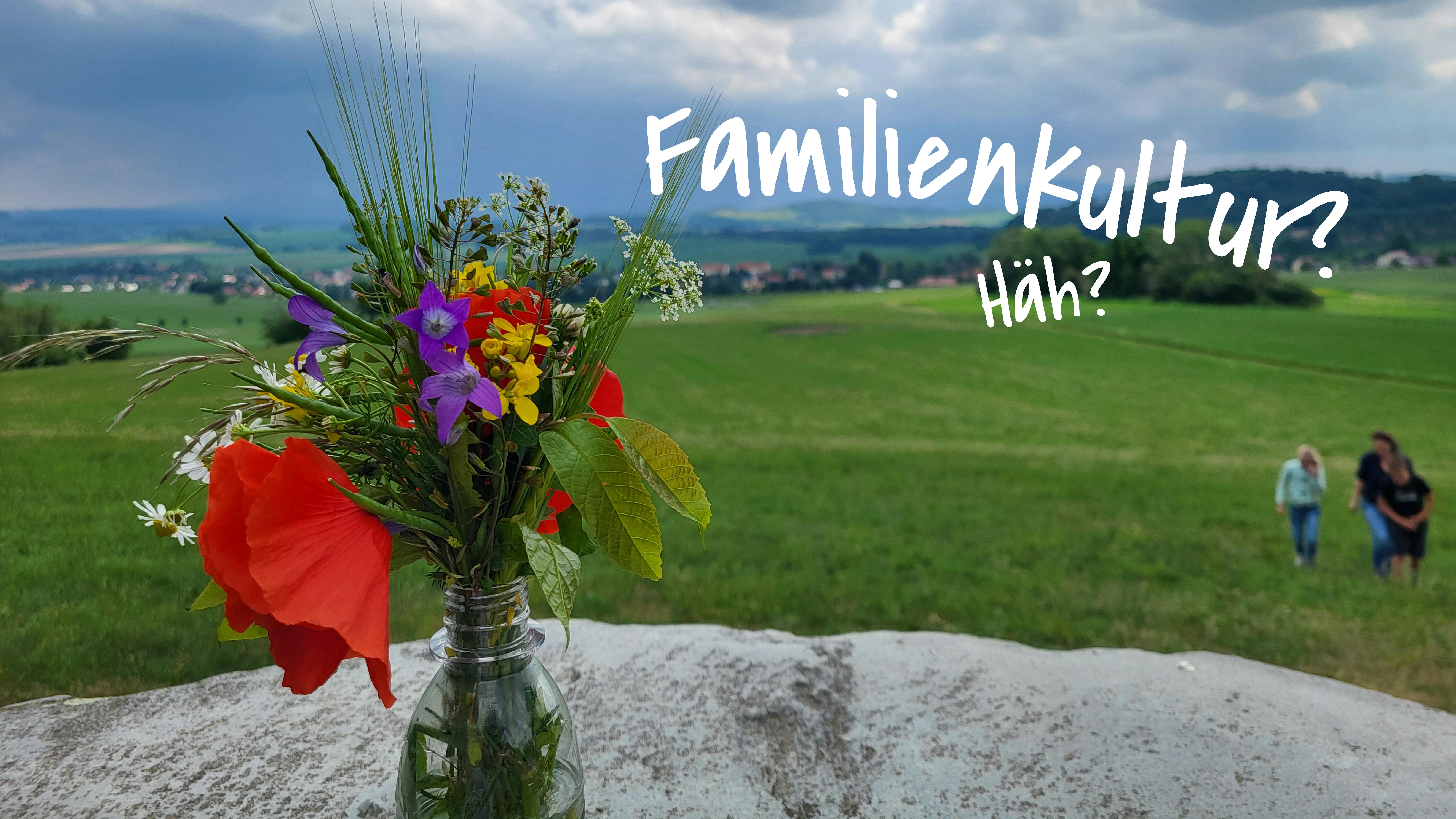 Ein Wildblumenstrauß in einer Plastikflasche auf einem Stein in der Natur