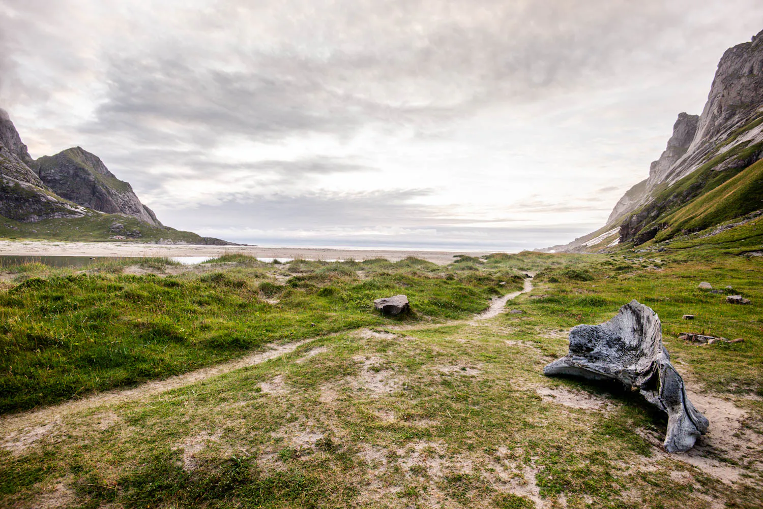 Le crâne d'une baleine échouée, sur une plage des Lofoten