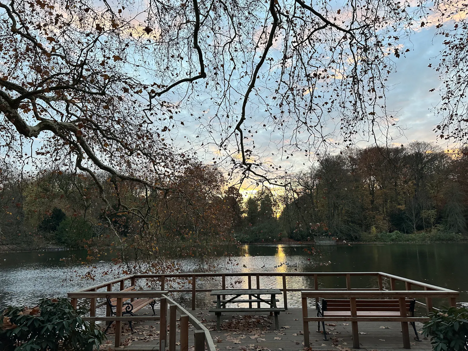 Blick von einem Steg auf einen See im Winter.