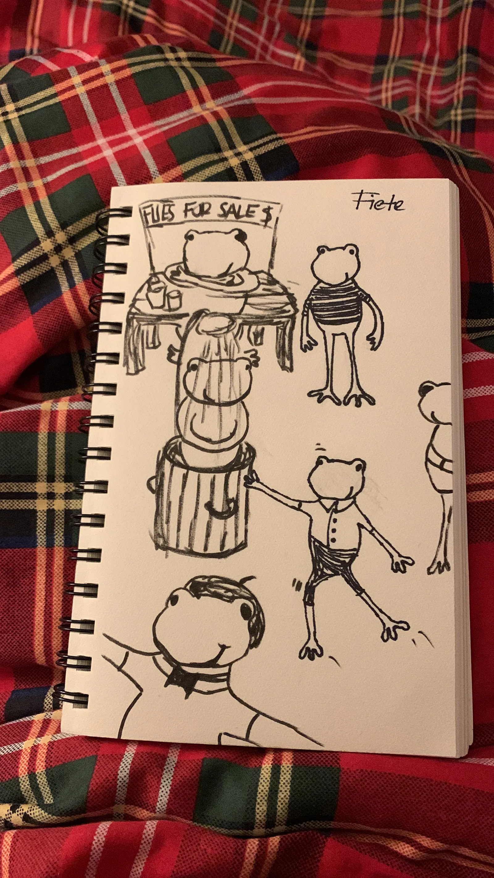 First sketches of Fiete