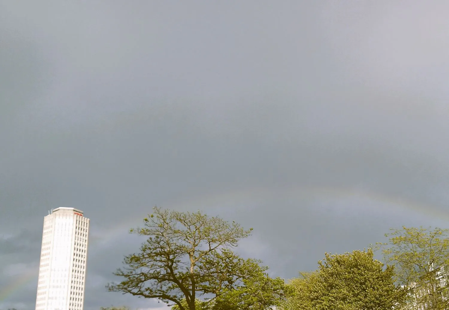 Grauer Himmel, unten im Bild sind grüne Baumkronen zu sehen, links im Bild ein weißes Hochhaus. Ein Regenbogen verbindet Haus und Bäume.