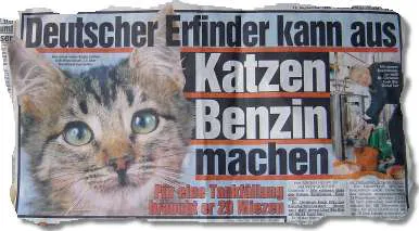 Deutscher Erfinder kann aus Katzen Benzin machen