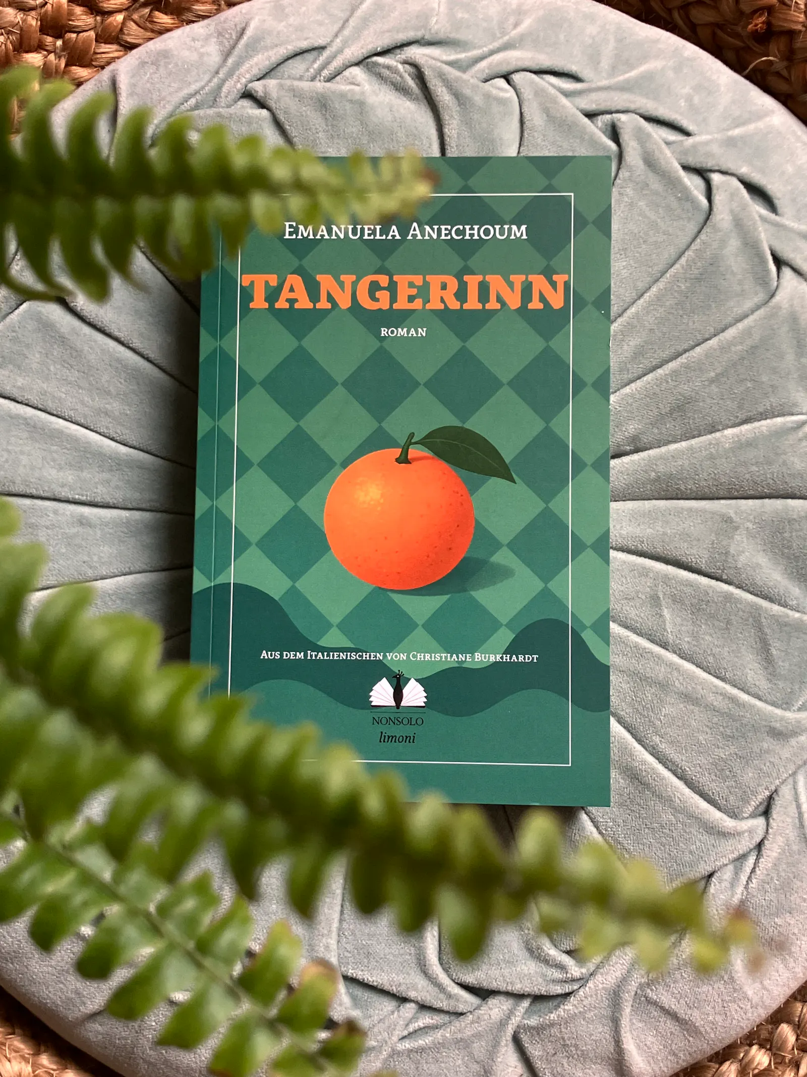 Der Roman "Tangerinn" von Emanuela Anechoum, im Februar im nonsolo Verlag erschienen
