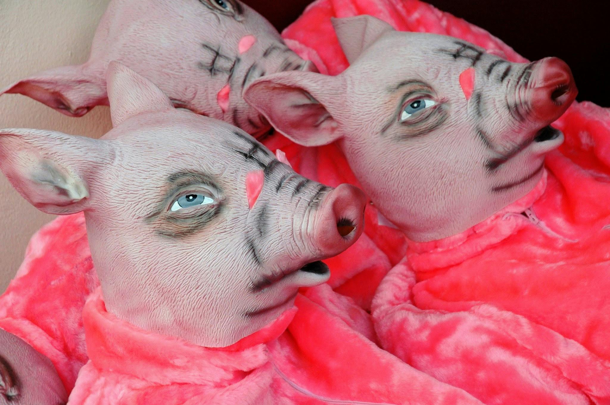 Das Schweinemuseum in Gaisburg ist auch bei der Langen Nacht dabei. Foto: Jürgen Brand