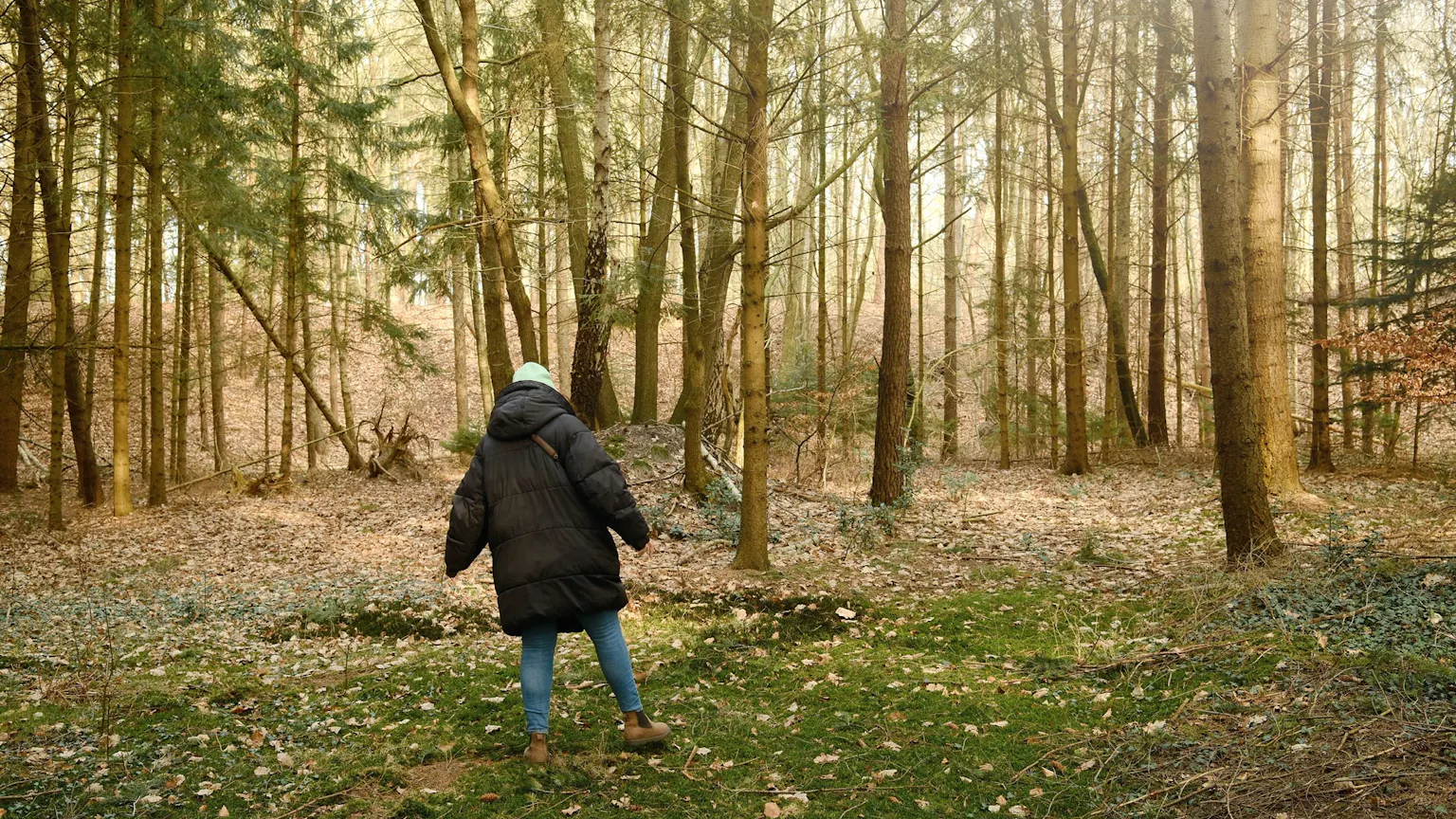 Phänologie: Die Natur lesen lernen