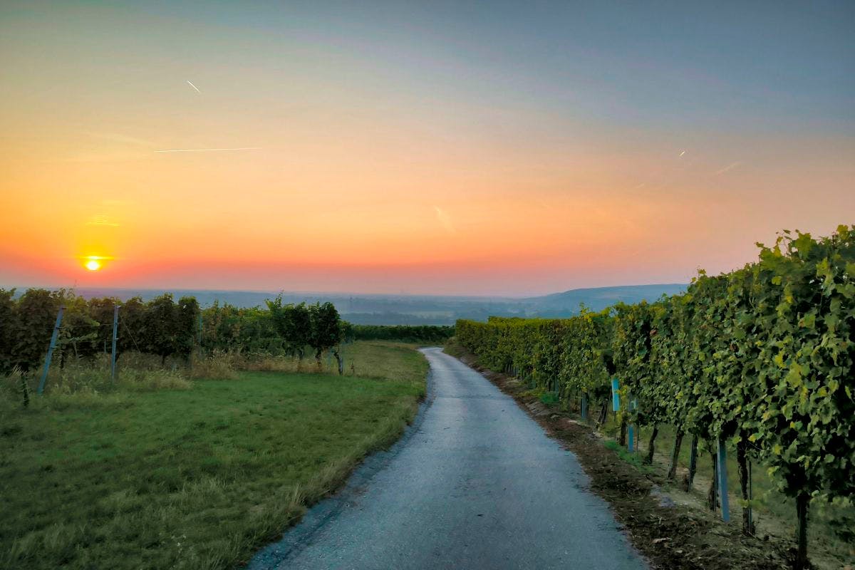 Sonnenuntergang über dem Traisental