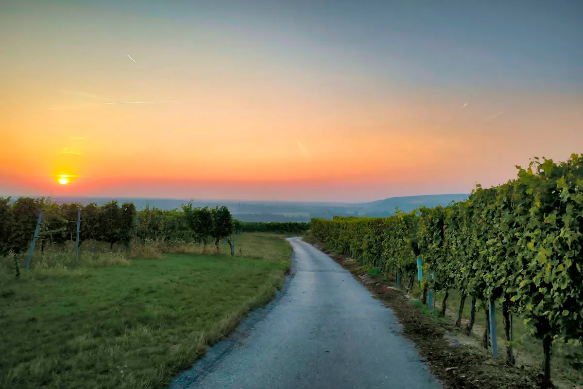 Sonnenuntergang über dem Traisental