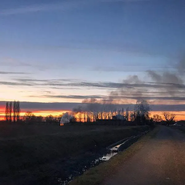 #emiliaisillinois