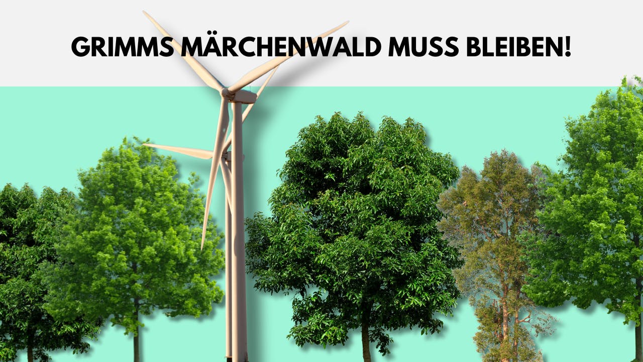 Das Titelbild mit der Überschrift: Grimms Märchewald muss bleiben. Abgebildet sind Bäume im Hintergrund und ein Windrad im Vordergrund.