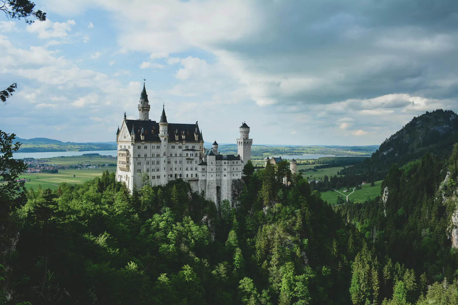 Schloss Neuschwanstein und Natur von Rachel Davis