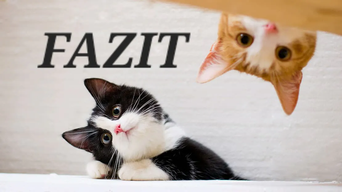 Fazit-Katzen