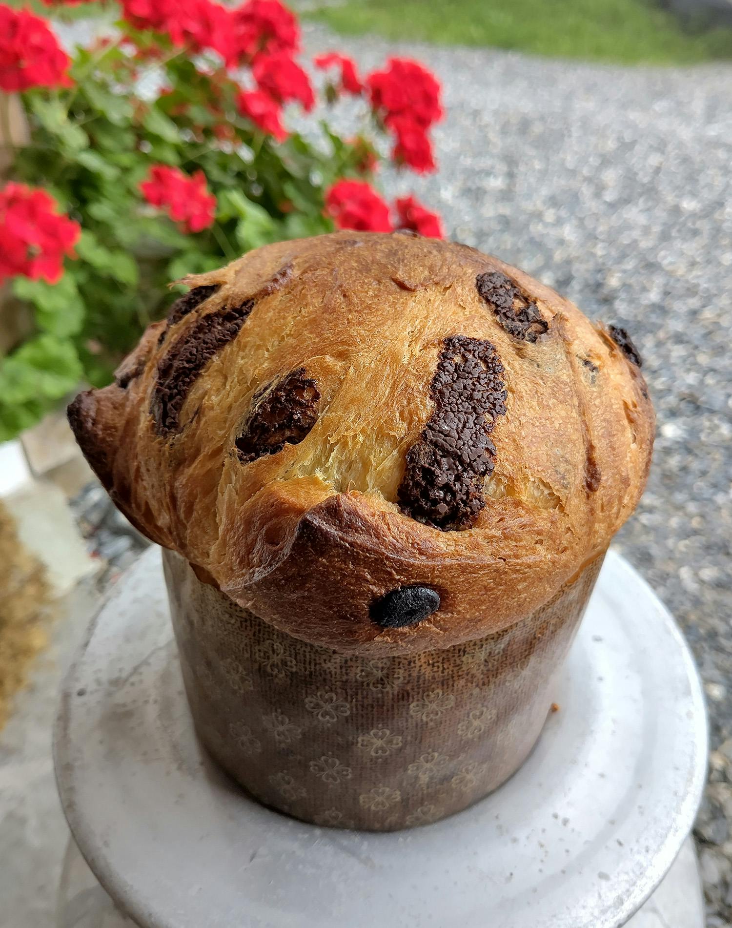 Panettone mit Schokostücken nach einer neu entwickelten Rezeptur.