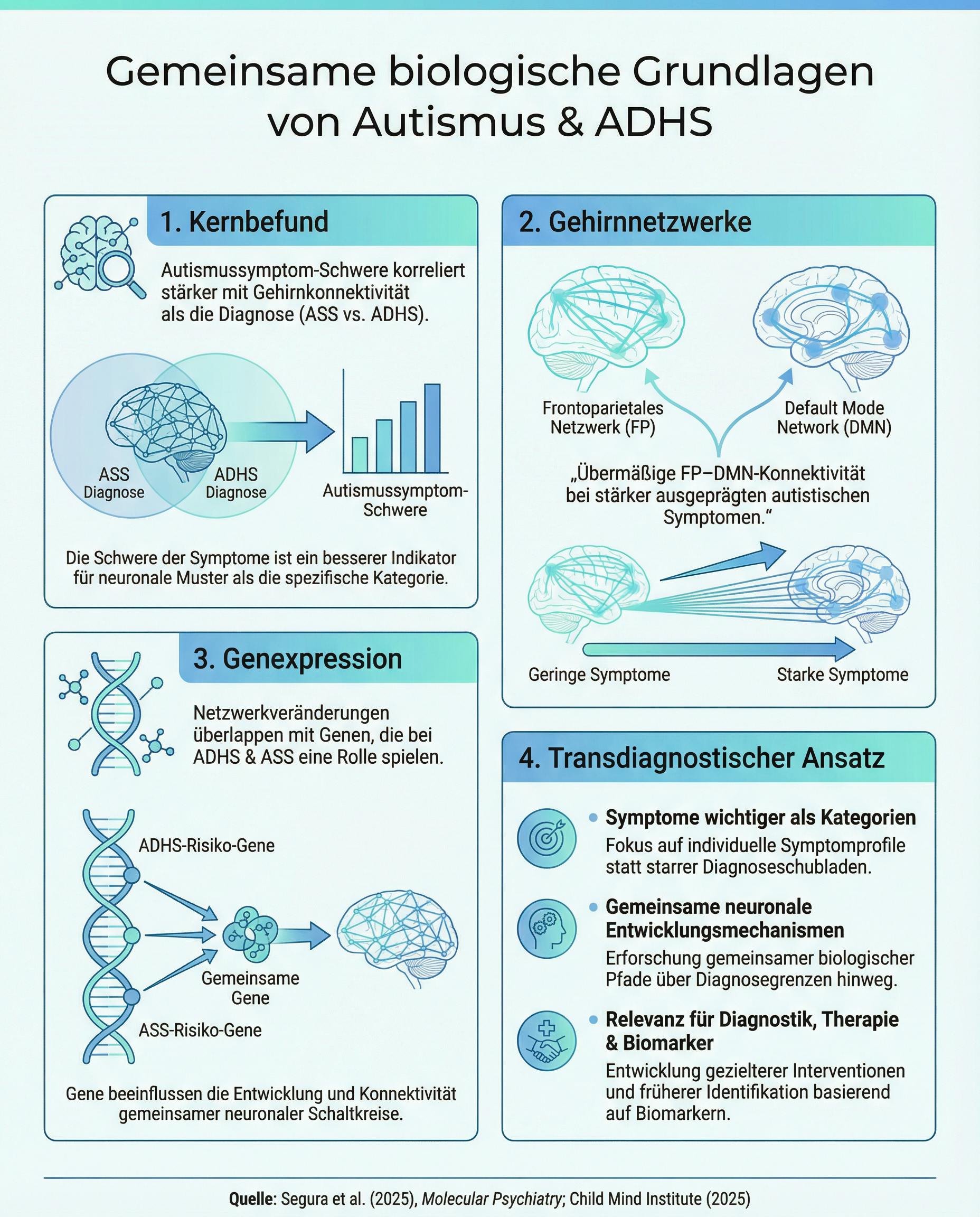 Neurobiologie von ADHS und Autismus