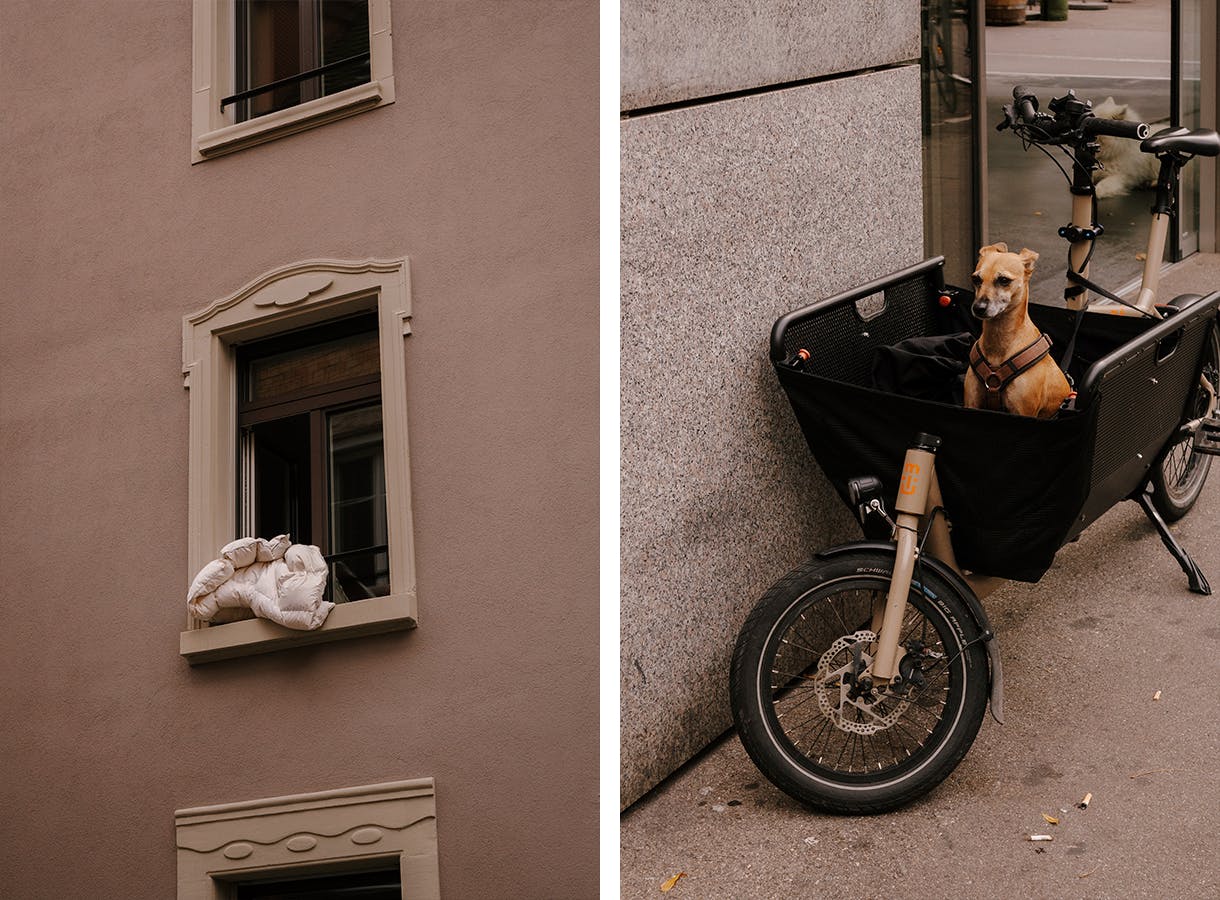 Bettwäsche in einem offenen Fenster. Ein Hund in einem Lastenvelo.