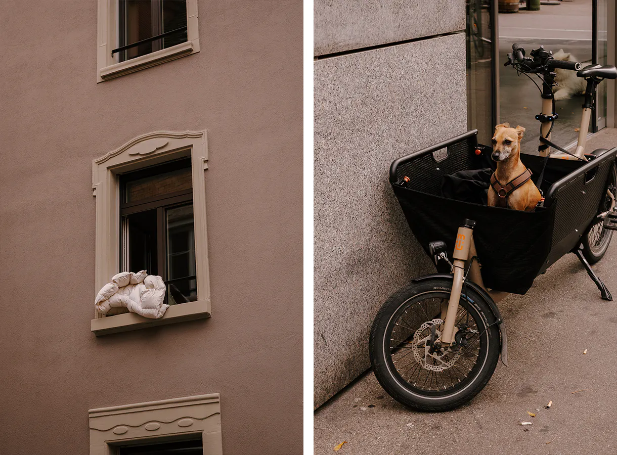 Bettwäsche in einem offenen Fenster. Ein Hund in einem Lastenvelo.