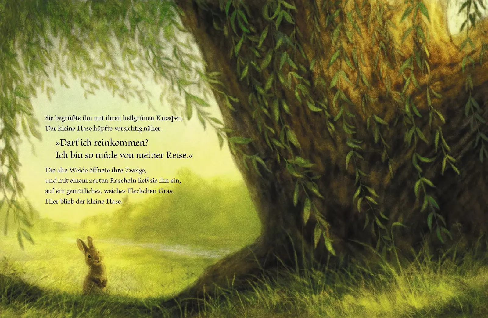 Aus: Der kleine Hase und die alte Weide // © Anitra Rowe Schulte (Text), Christopher Denise (Illustration) / 2025 von Hacht Verlag GmbH, Hamburg