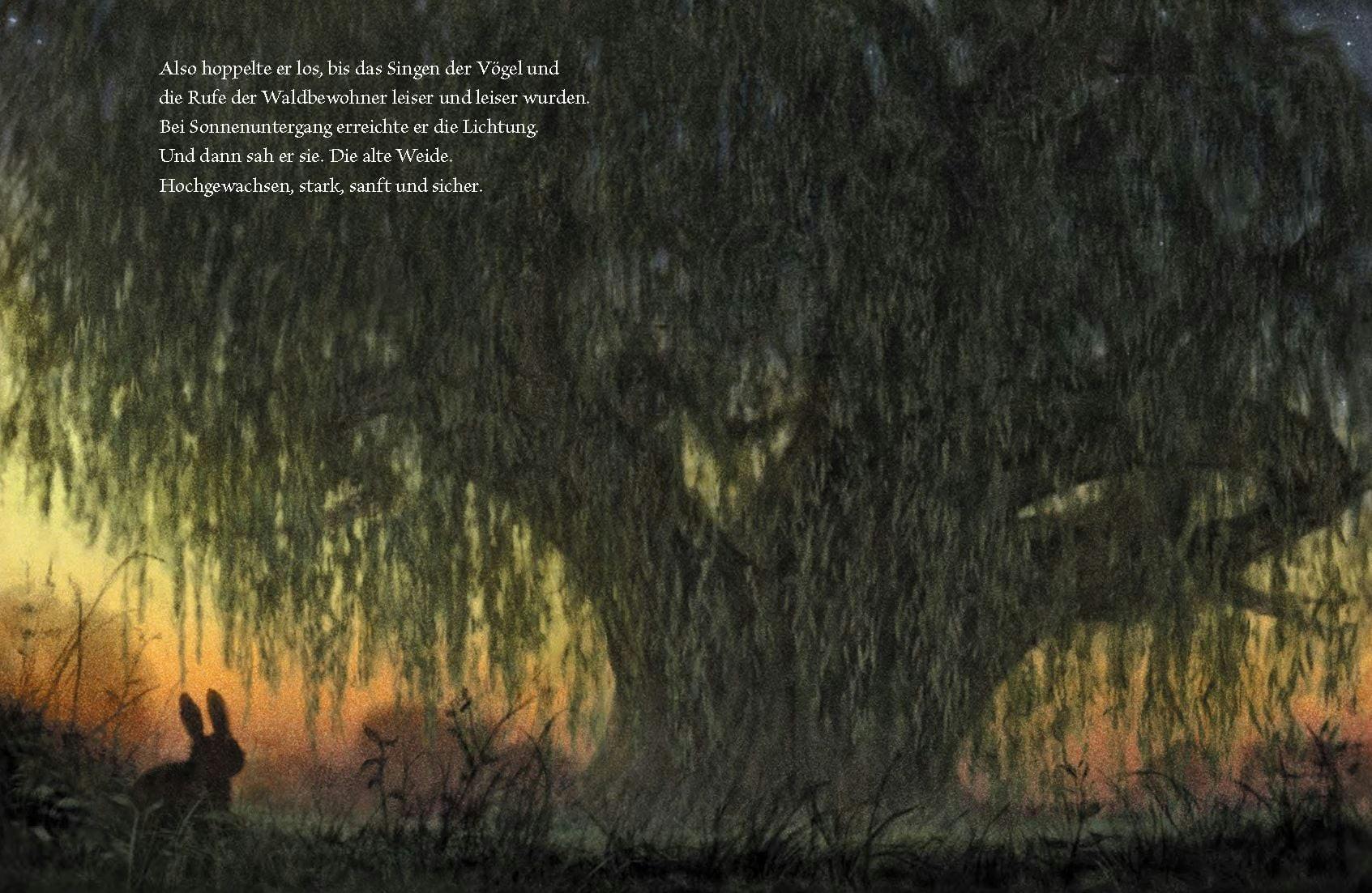 Aus: Der kleine Hase und die alte Weide // © Anitra Rowe Schulte (Text), Christopher Denise (Illustration) / 2025 von Hacht Verlag GmbH, Hamburg