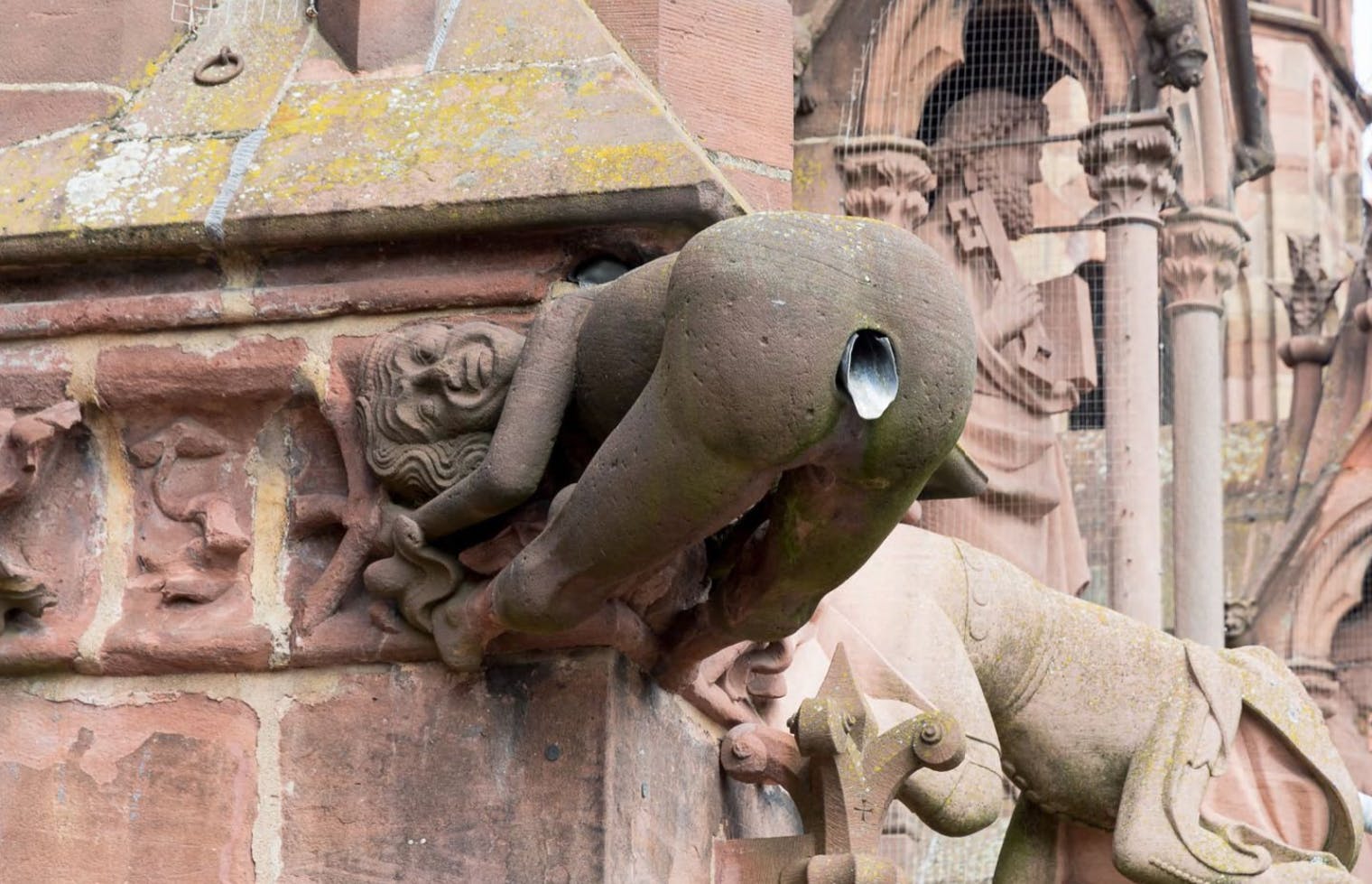 Wasserspeier am Münster in Freiburg (Quelle: https://onlinesammlung.muensterbauverein-freiburg.de)