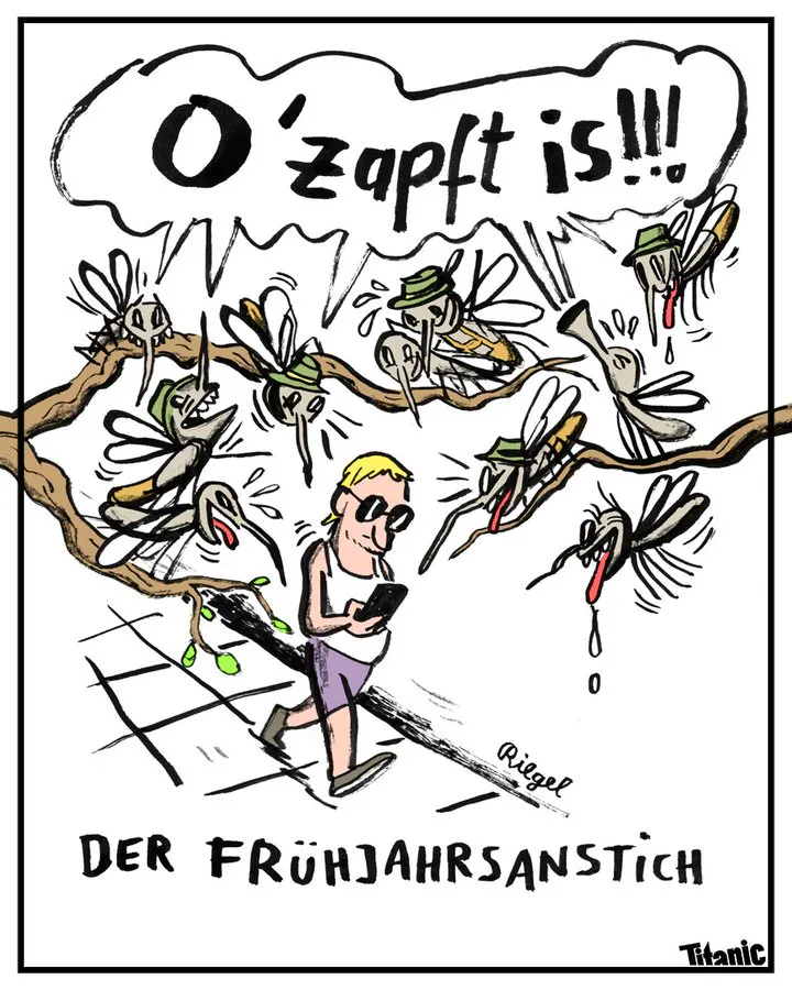 Gezeichneter Cartoon: Ein junger Mann in Tanktop, kurzer Hose und mit Sonnenbrille läuft über einen Gehweg und schaut dabei auf sein Handy. In den Bäumen über ihm sitzen sehr viele Mücken, teilweise tragen sie Sepplhüte und Lederhosen. Alle schauen sie ekstatisch, einige lassen ihre Zungen heraushängen und sabbern. Dabei schreien sie: »O’zapft is!!!« Unter dem Cartoon steht: »Der Frühjahrsanstich«.
