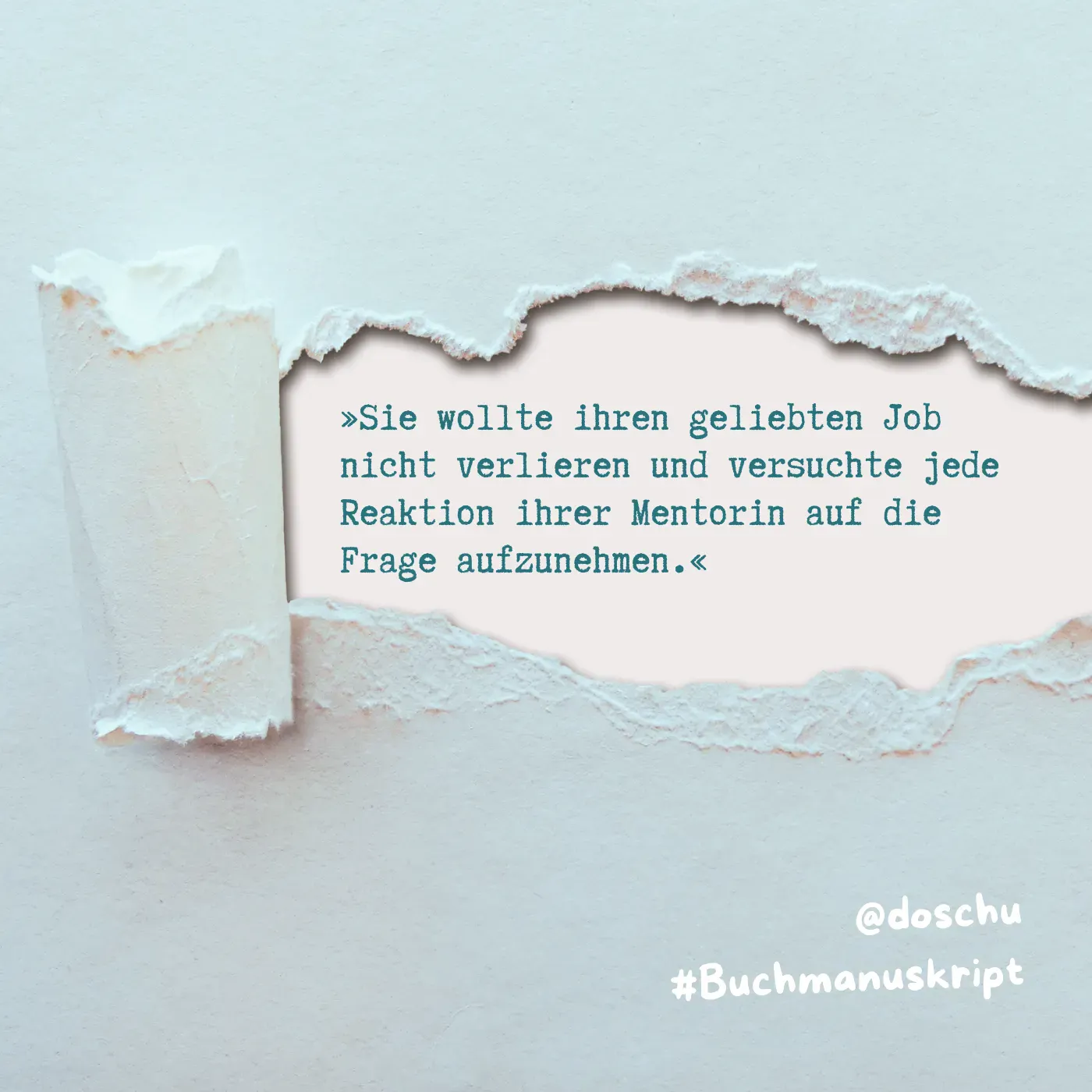 „Alles Fake“ das zweite Buch von Doris Schuppe 2 aktueller satz buchmanuskript doschu 20240814