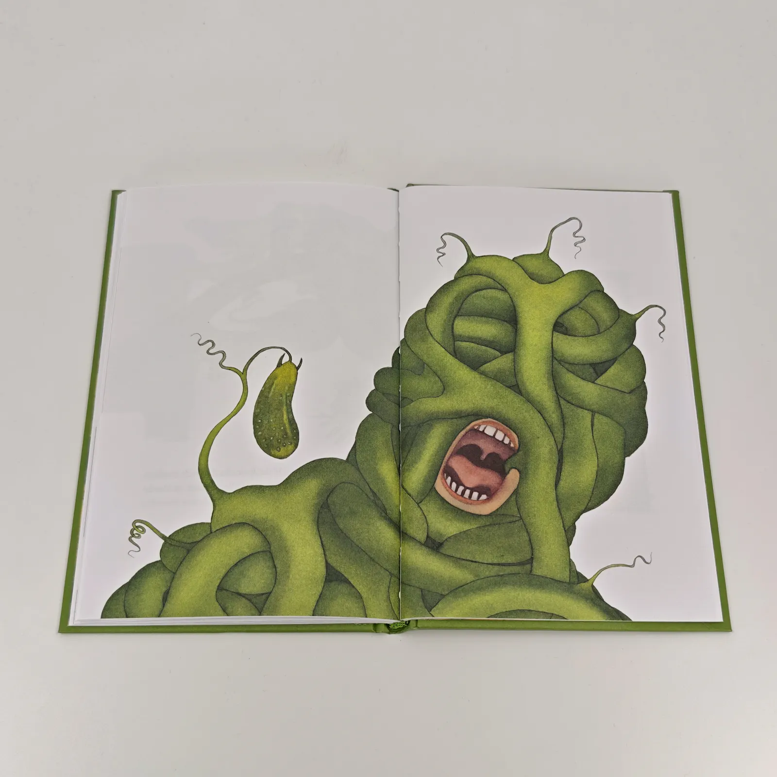 Das Gurkerl-Monster // © Johanna Sebauer / Nikolaus Heidelbach / DuMont Buchverlag GmbH & Co. KG
