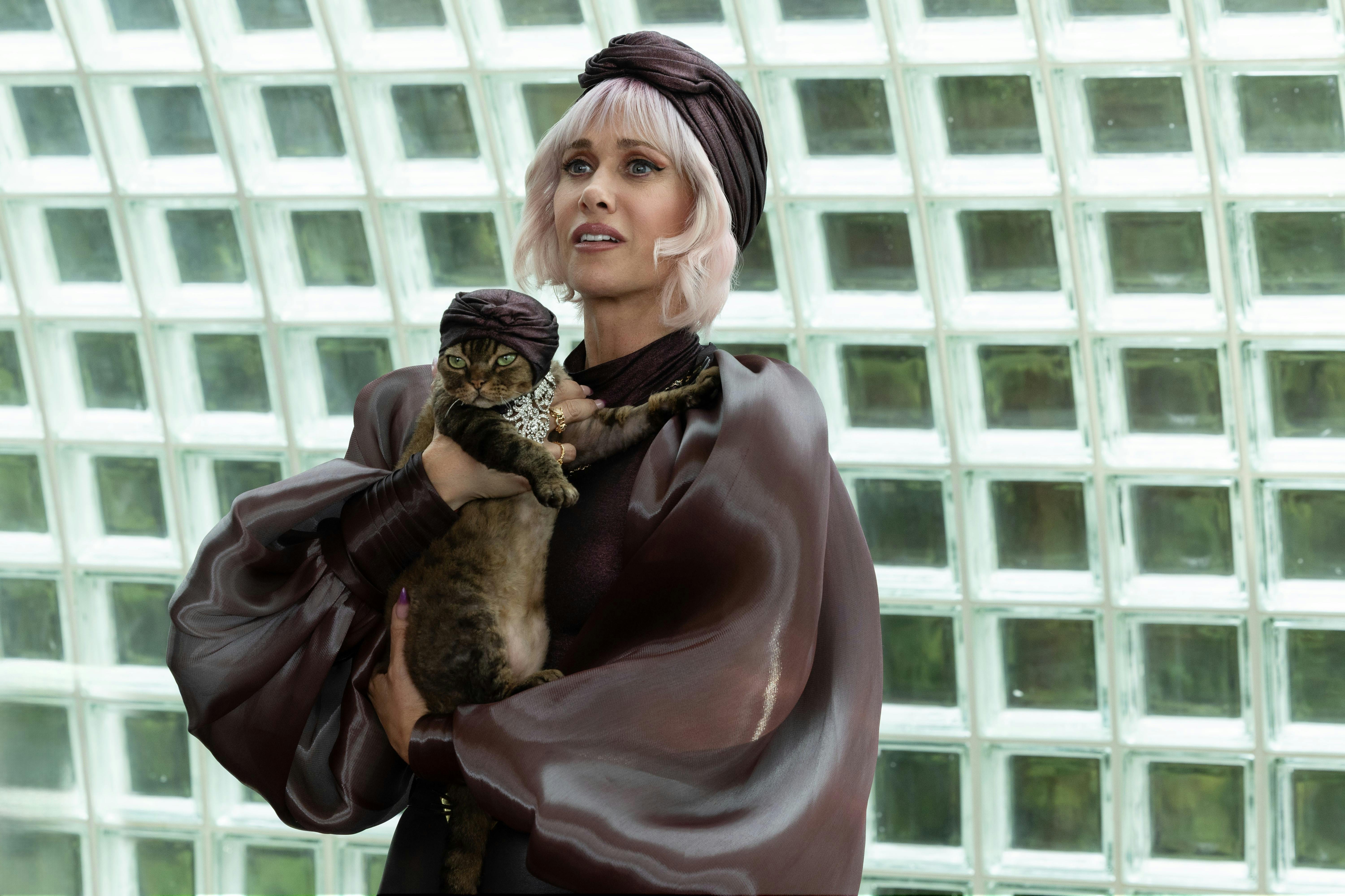 Marlene Purrkins (Jonesy The Cat) und Vera the Cat Lady (Kristen Wiig) // © Dreamworks Animations LLC / Universal Pictures