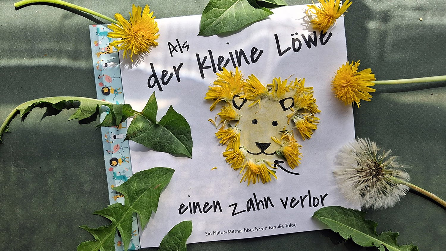 Ein Naturmitmachbuch über Löwenzahn: Als der kleine Löwe seinen Zahn verlor. Mit Löwenzahnblüten, -blättern und Pusteblumen.