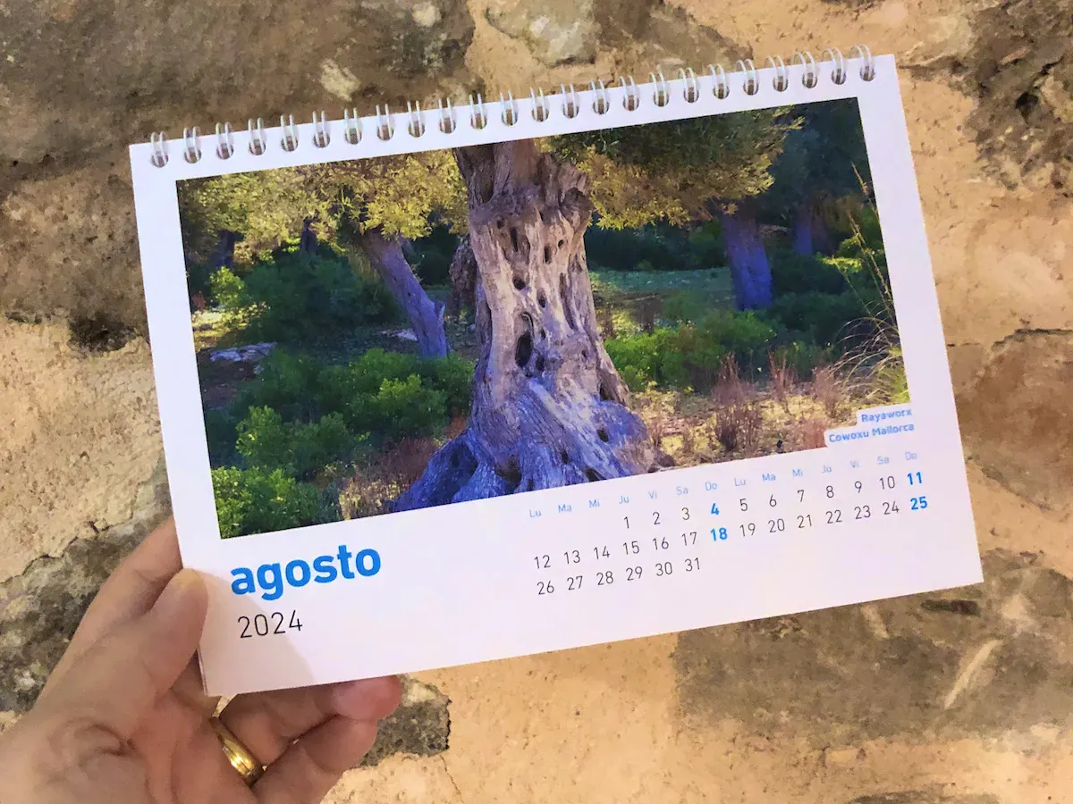 Rayaworx Agosto Calendario