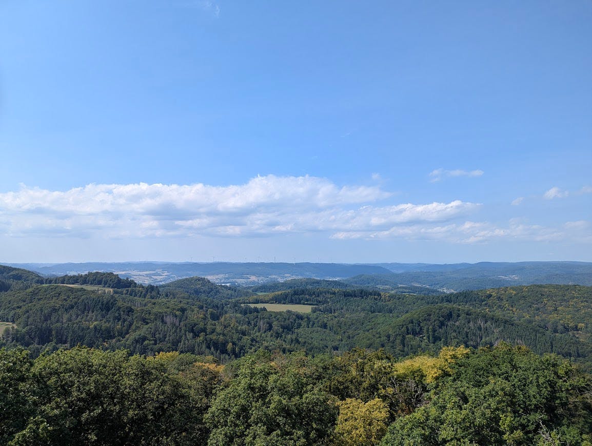 Fernblick über eine Baumreihe hinweg bis zu einer verschwommenen Hügelkette am Horizont