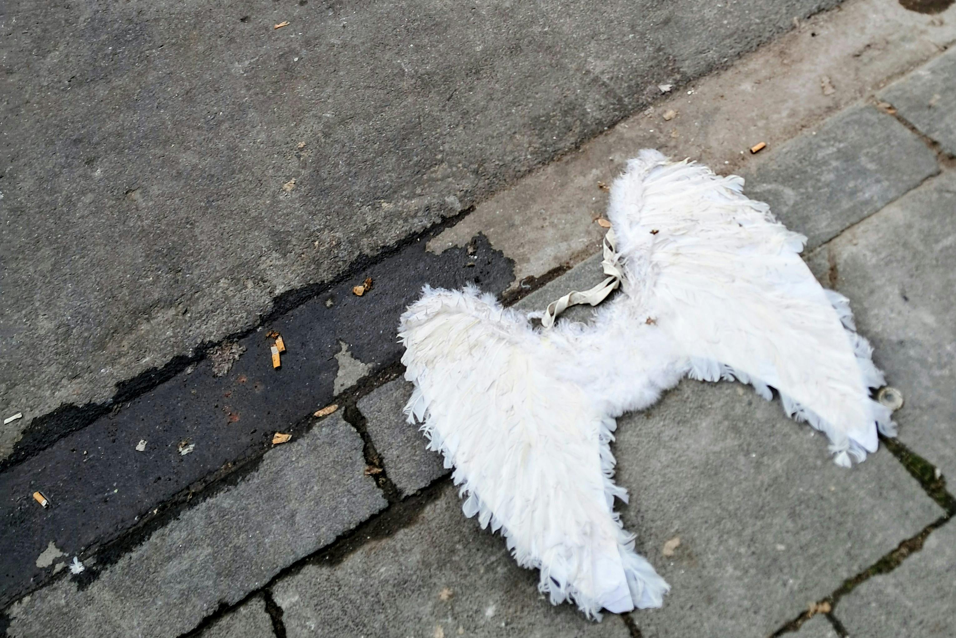 Engelsflügel eines Karnevalkostüms liegen auf der Straße.