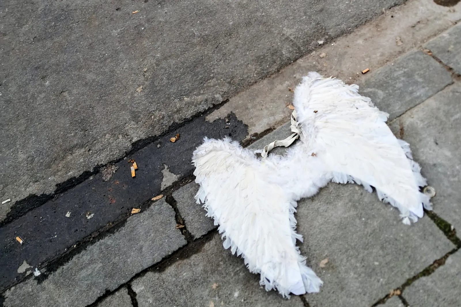 Engelsflügel eines Karnevalkostüms liegen auf der Straße.