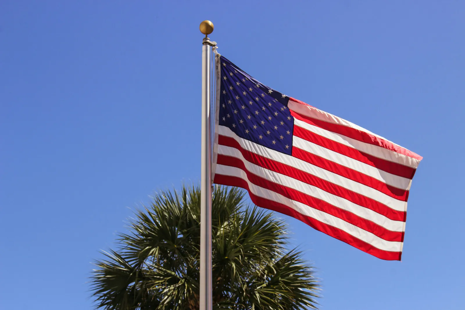 USA Fahne an Mast vor blauem Himmel, mittig unterhalb der Fahne ist das obere Ende eine Palme zu sehen.