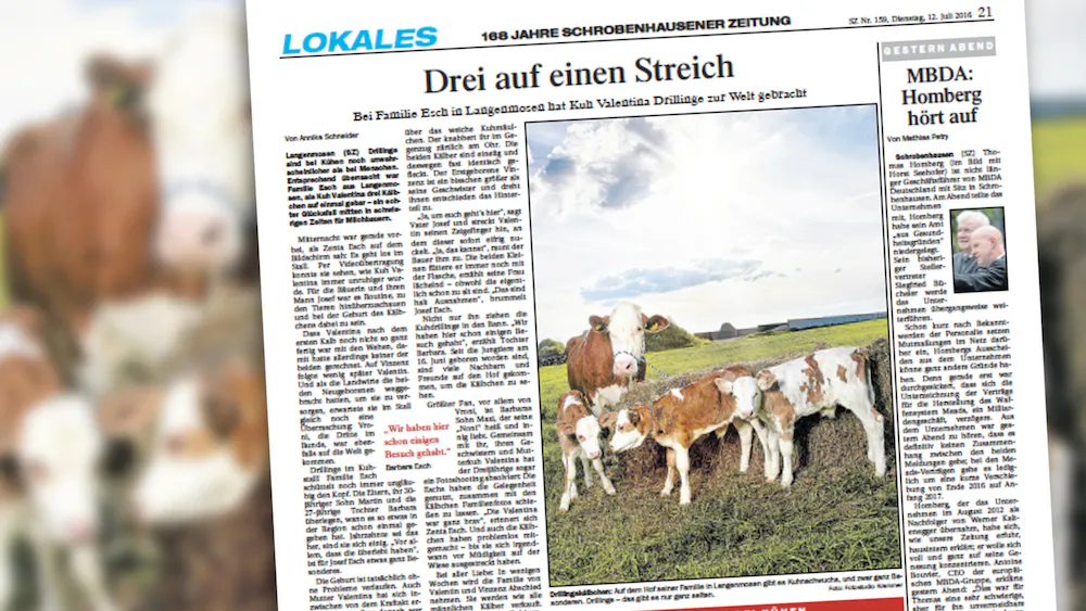 Ausriss Zeitungsseite mit dem Aufmacher: „Drei auf einen Streich“ – und einem Foto von einer Kuh mit ihren drei Kälbern.