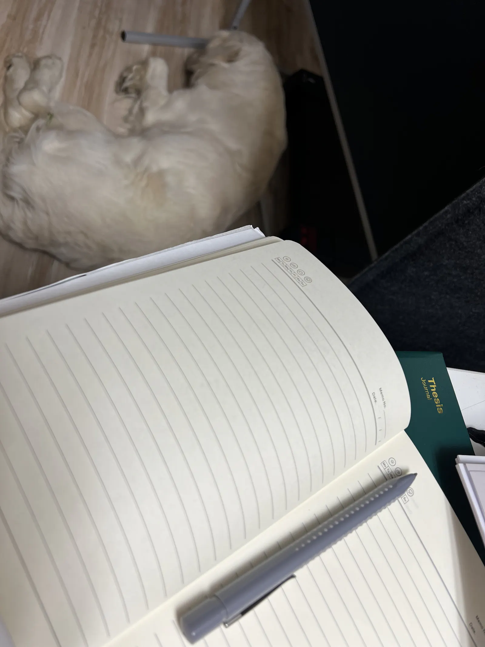 Weißer Golden Retriever liegt auf dem Boden und schläft, darüber liegt ein leeres Notizbuch und ein grauer Kugelschreiber auf dem Tisch.